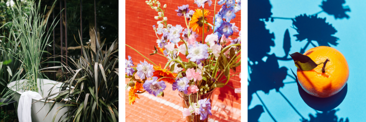 Bloemenbureau vacature