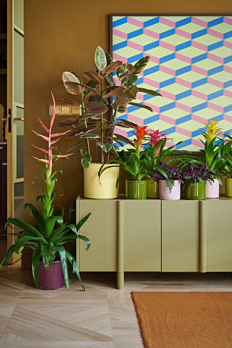 Bloemenbureau Holland Groenbranche Trends 2026 Intruiging Decor