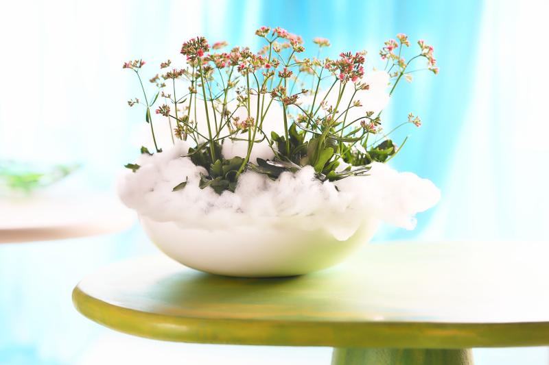 bloemenbureau_holland_unexpected_encounter_bbhh_trends-2026_ue-kalanchoe_med.jpg