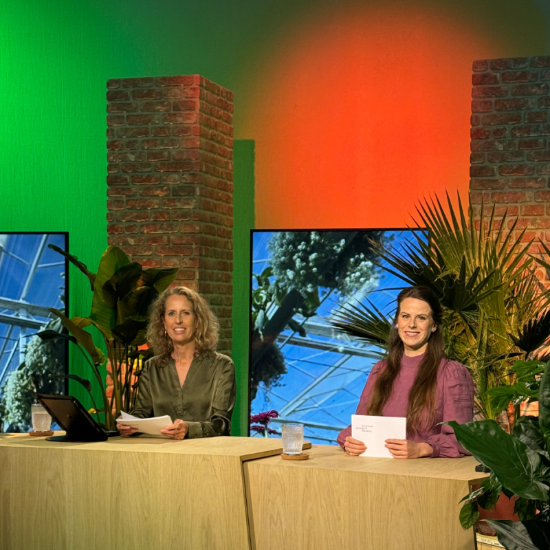 webinar