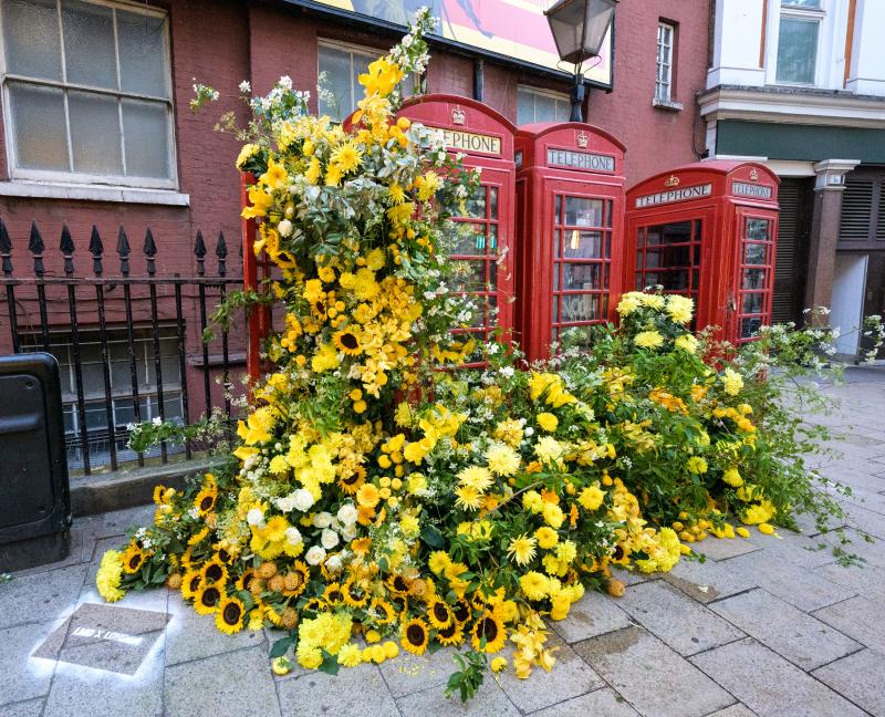 Flower Flashes brought joy to London landmarks