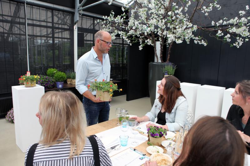 Mediajury kiest Balkon- en Terrasplant van het Jaar 2018 Mediajury kiest Balkon- en Terrasplant van het Jaar 2018