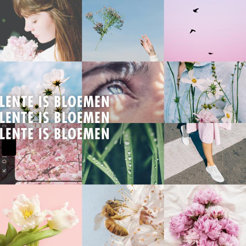 Lente is Bloemen - Mooiwatbloemendoen - Bloemenbureau Holland Lente is Bloemen - Mooiwatbloemendoen - Bloemenbureau Holland