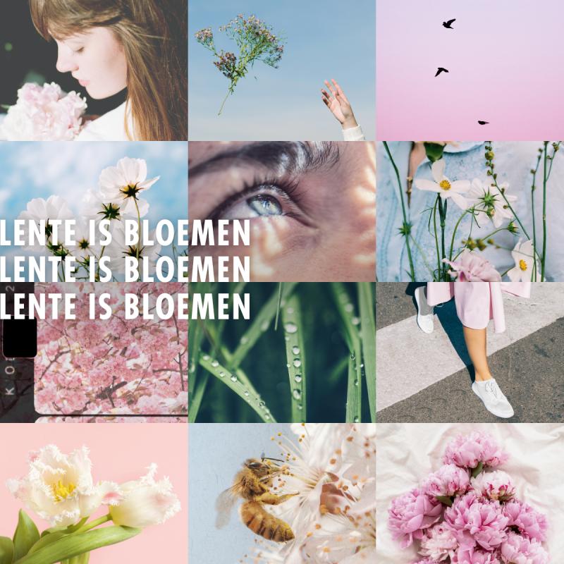 Lente is Bloemen - Mooiwatbloemendoen - Bloemenbureau Holland