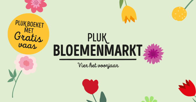 Dutch supermarket chain Jumbo launches PLUK Flower Market