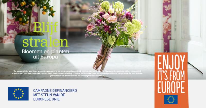 Gezamenlijke promotiecampagne Europese bloemen en planten-2 Gezamenlijke promotiecampagne Europese bloemen en planten-2