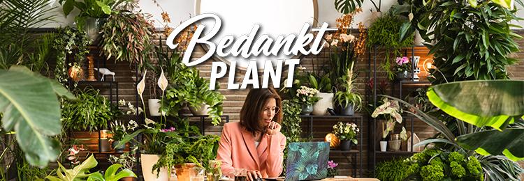 Bedankt Plant campagne blijft scoren Bedankt Plant campagne blijft scoren
