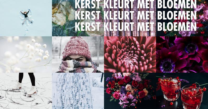 Kerst kleurt met bloemen