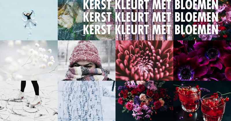 Kerst kleurt met bloemen 2021 Kerst kleurt met bloemen 2021