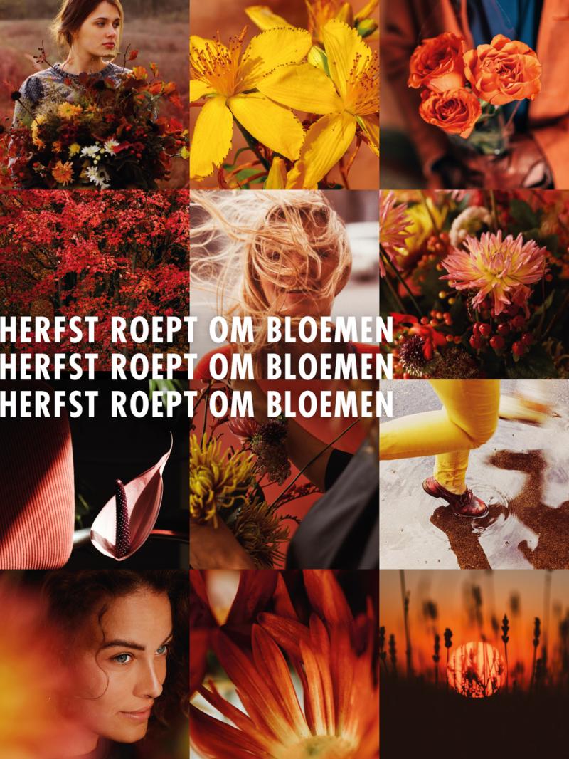 Contentcampagne Herfst roept om bloemen