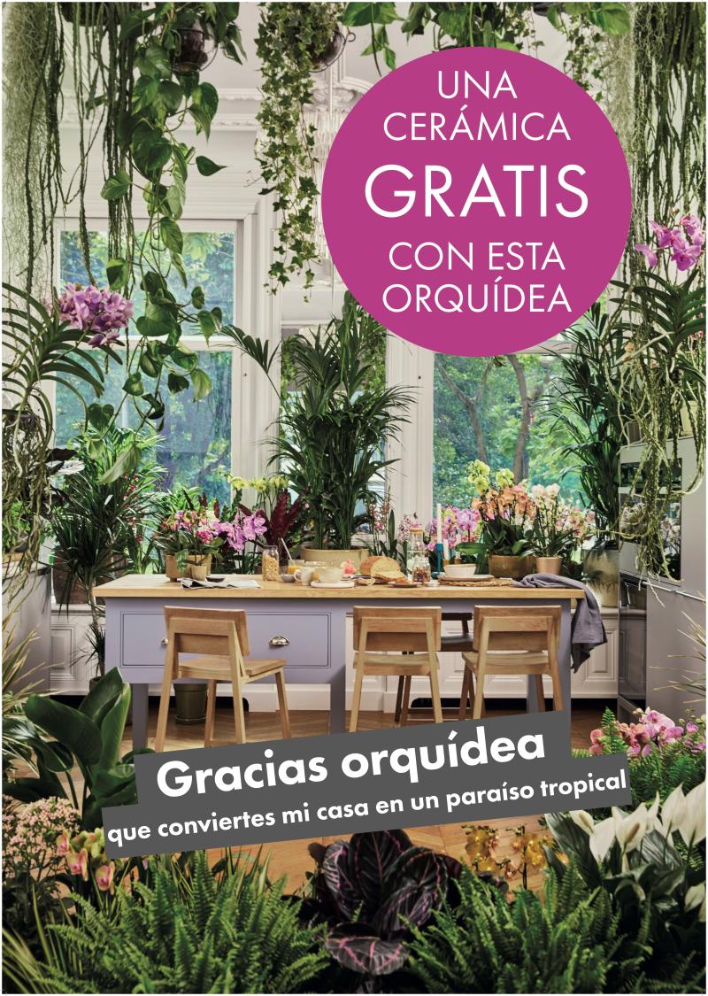 Nieuwe shopper activatie met ALIAT in Spanje Nieuwe shopper activatie met ALIAT in Spanje