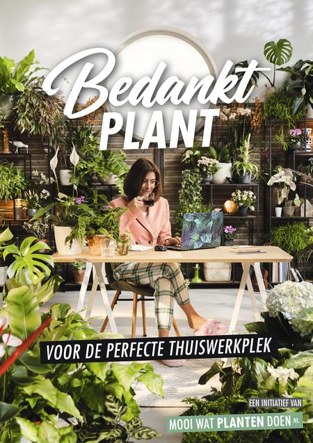 Thanks Plants thuiswerken