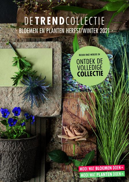 Evaluatie “De Trend Collectie Herfst/Winter 2021”