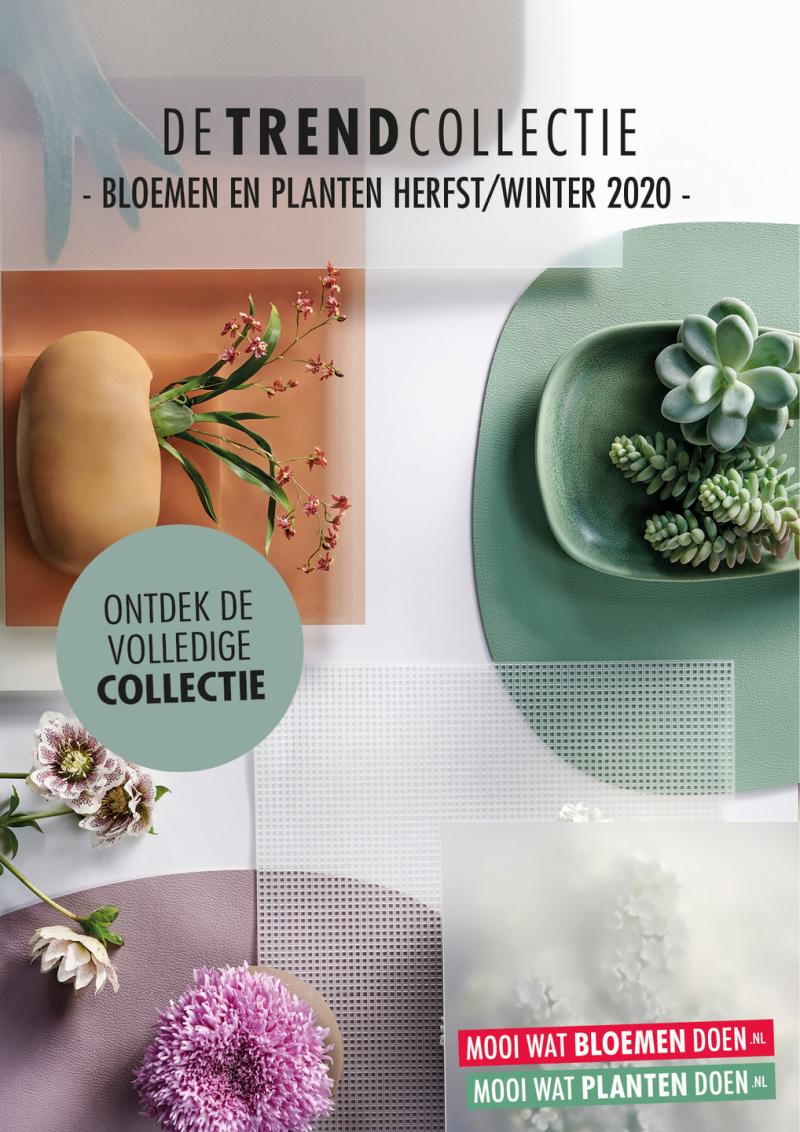 Positieve evaluatie van De Trend Collectie Herfst/Winter 2020