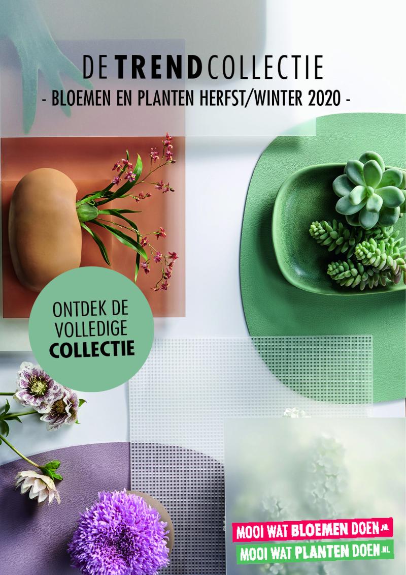 De Trend Collectie H/W 2020 poster