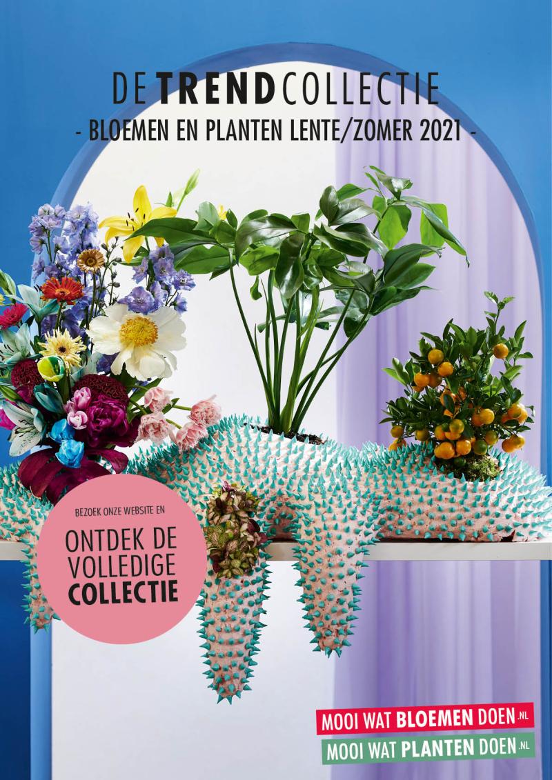 Evaluatie Trend Collectie lente/zomer 2021