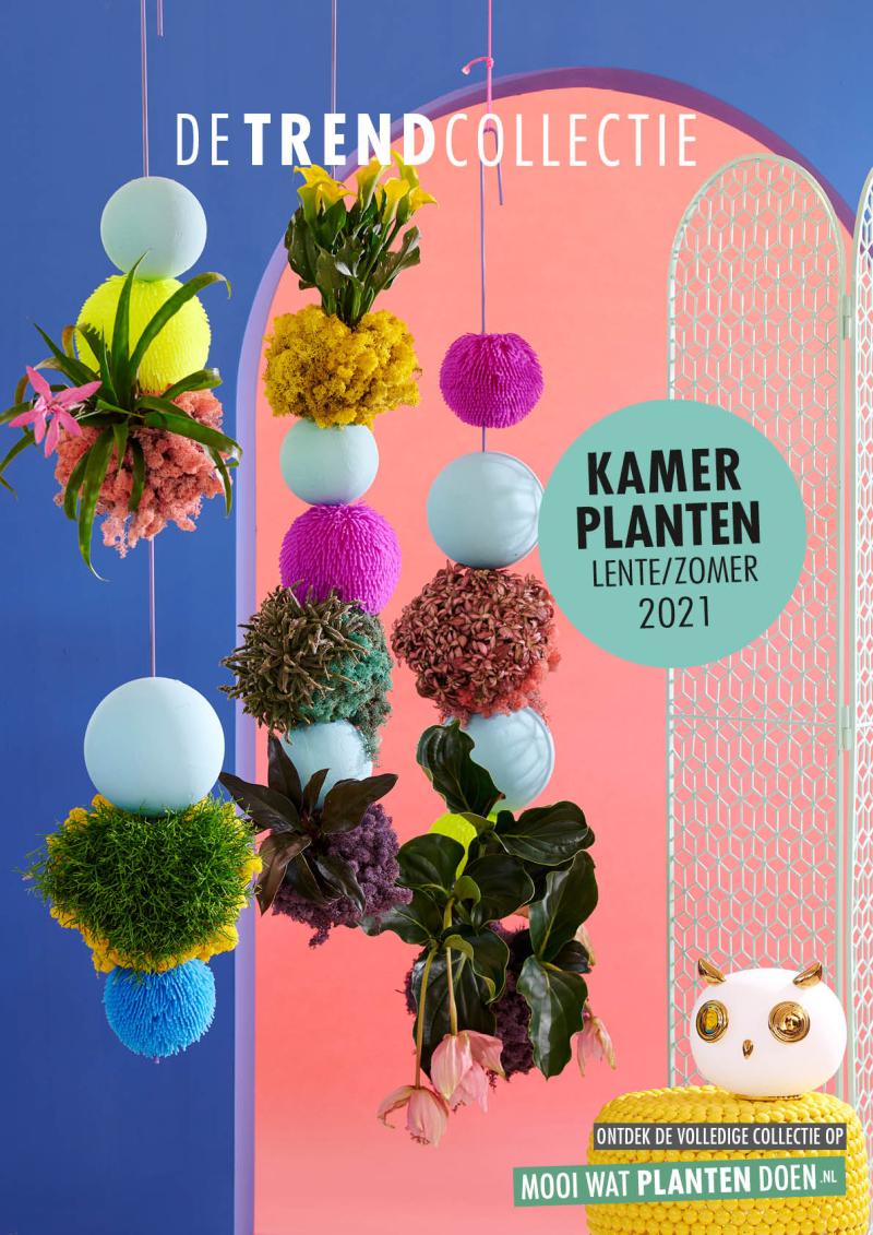 Evaluatie Trend Collectie lente/zomer 2021