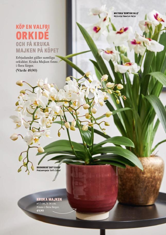 Blomsterlandet shopper activatie orchidee folder achterzijde