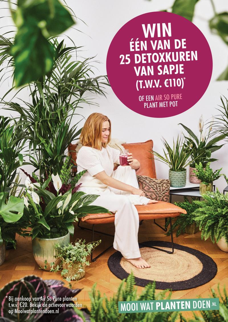 Shopper-activatie Bedankt Plant bij Nederlandse bloemist