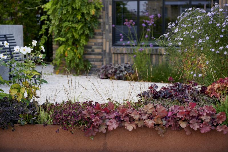 Heerlijk nazomeren met buitenplanten op Mooiwatplantendoen.nl