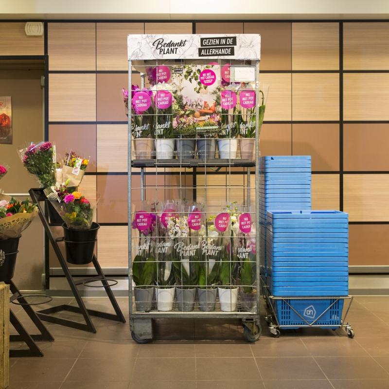 Shopper activatie AH Orchidee 2019