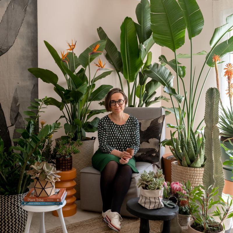 Houseplant Travel