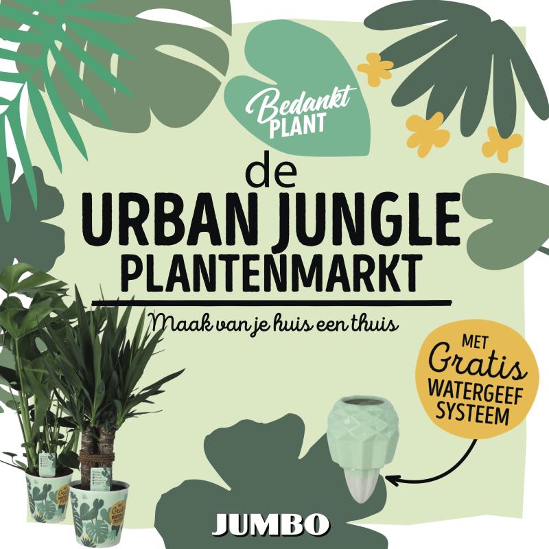 Shopper activatie met Jumbo: de Urban Jungle Plantenmarkt 