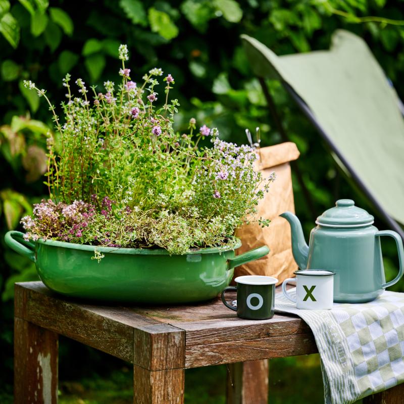 Kruidenplanten | De Trend Collectie lente/zomer 2023 Kruidenplanten | De Trend Collectie lente/zomer 2023