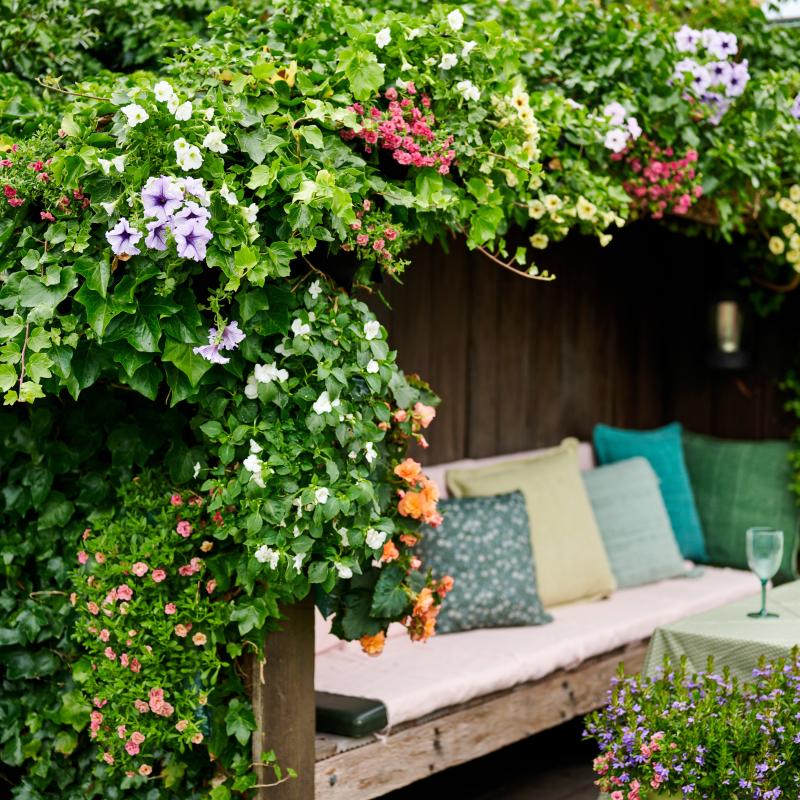 Poëtische plantenmix | De Trend Collectie lente/zomer 2023 Poëtische plantenmix | De Trend Collectie lente/zomer 2023