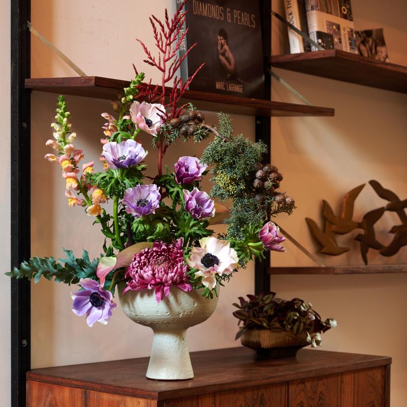 Anemone - De Trend Collectie herfst/winter 2022 Anemone - De Trend Collectie herfst/winter 2022