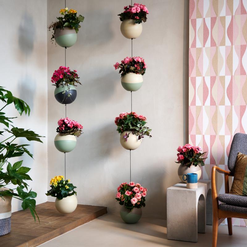 Begonia - De Trend Collectie herfst/winter 2022 Begonia - De Trend Collectie herfst/winter 2022