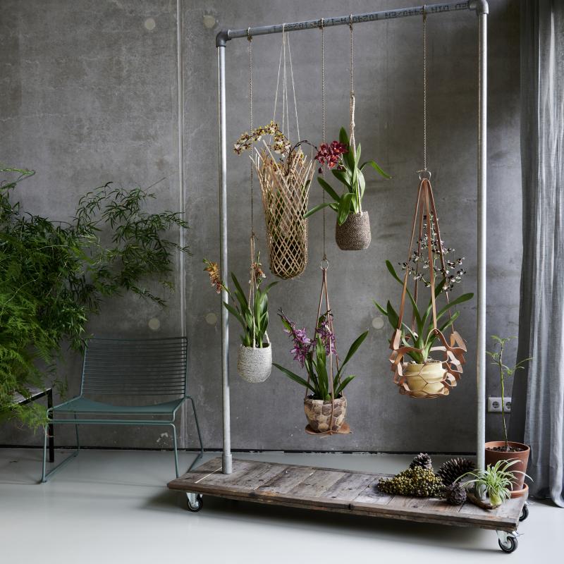 De Trend Collectie herfst/winter 2021 | Kamerplanten De Trend Collectie herfst/winter 2021 | Kamerplanten