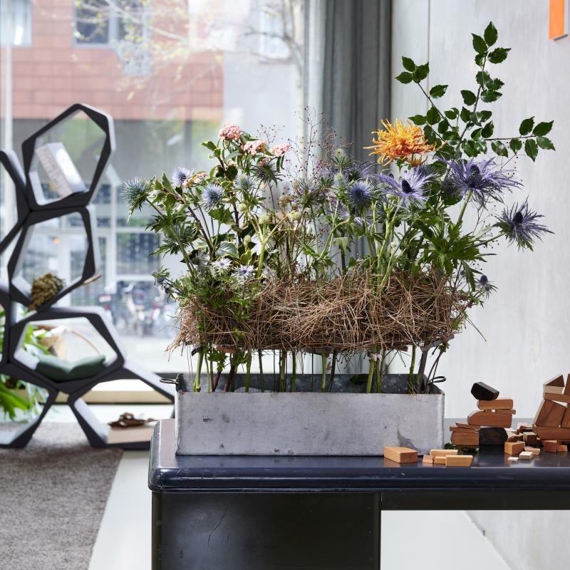 De Trend Collectie herfst/winter 2021 | Bloemen De Trend Collectie herfst/winter 2021 | Bloemen