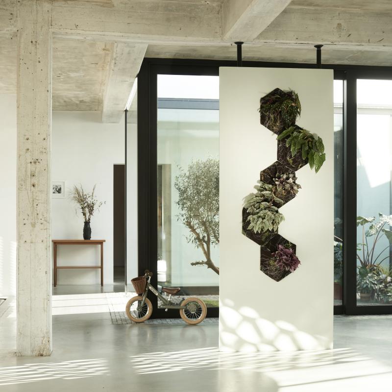De Trend Collectie herfst/winter 2021 | Kamerplanten De Trend Collectie herfst/winter 2021 | Kamerplanten