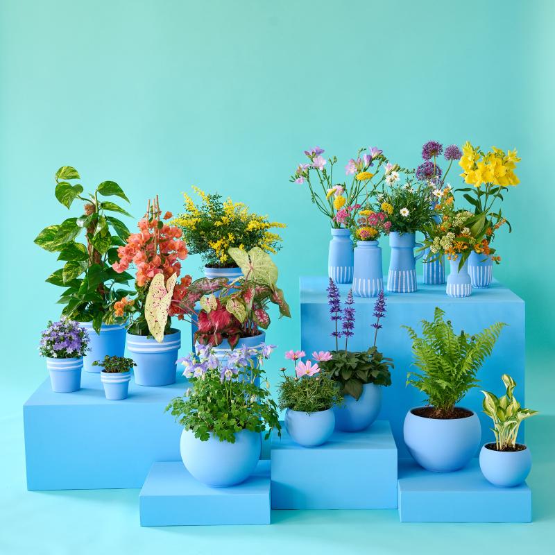 De Trend Collectie lente/zomer 2022 De Trend Collectie lente/zomer 2022