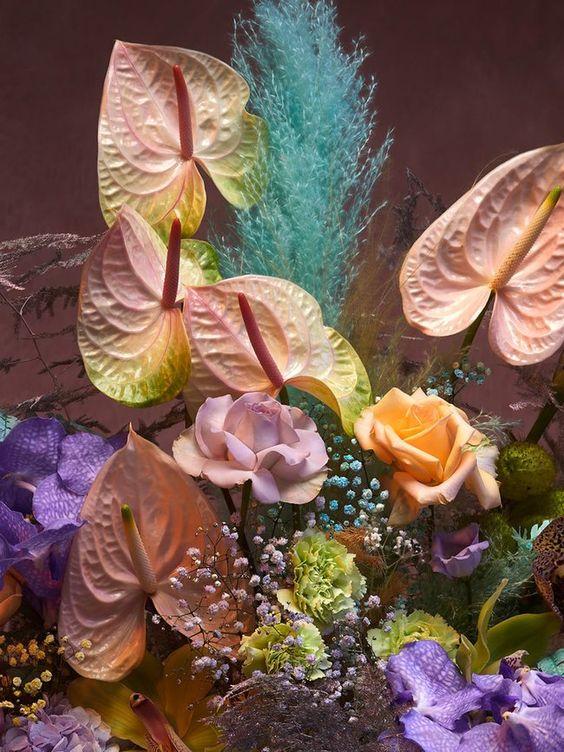 Martin Culli for The Green Gallery issue 16 Marte Culli The Green Gallery issue 16