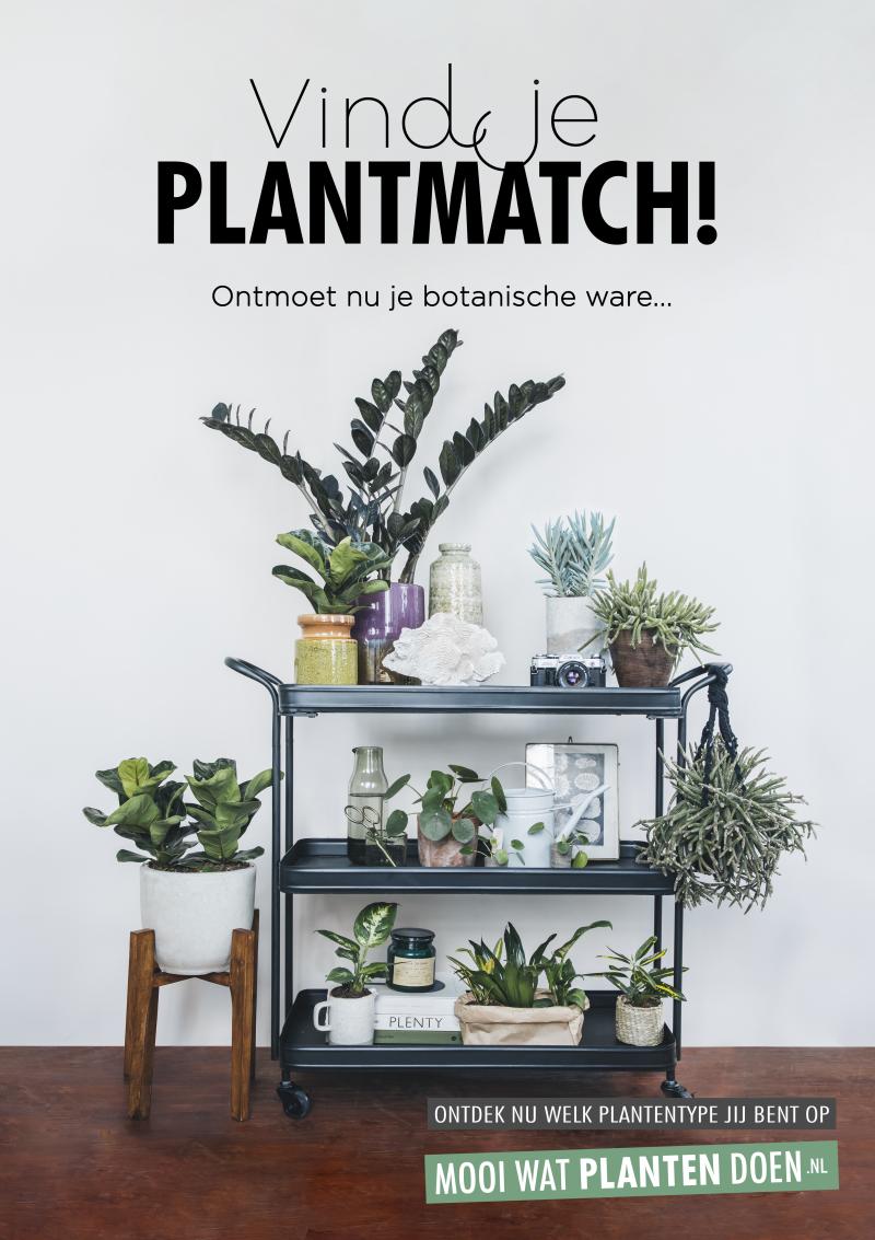 Vind je plantmatch: laat consumenten hun botanische ware ontdekken