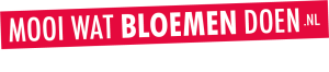 Mooiwatbloemendoen.nl