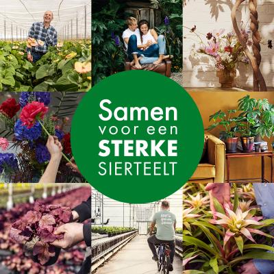 sectorcommunicatie-samen-sterke-sierteelt