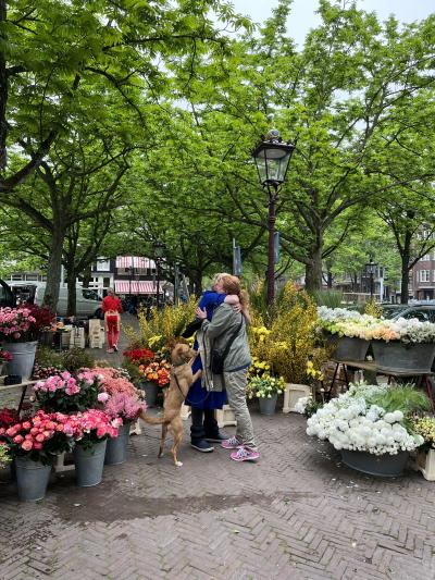 Troostrijke bloemen op de dag na Moederdag