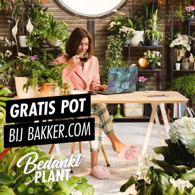 Bedankt Plant shopper activatie bij Bakker.com
