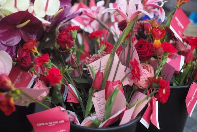 Variëteit aan rode bloemen