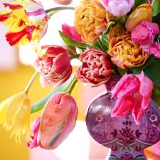 bbh_trends_2024_viva_la_vida_bbh_trends_24_vv_boeket_.jpg