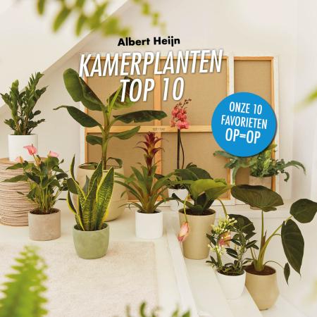 Bedankt Plant shopper activatie bij Albert Heijn