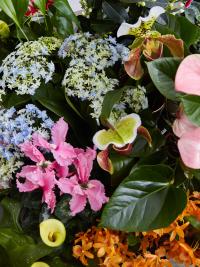 Moederdag op Mooiwatbloemendoen.nl en Mooiwatplantendoen.nl Moederdag op Mooiwatbloemendoen.nl en Mooiwatplantendoen.nl