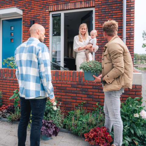 Van Grauw naar Groen - Boer Tom