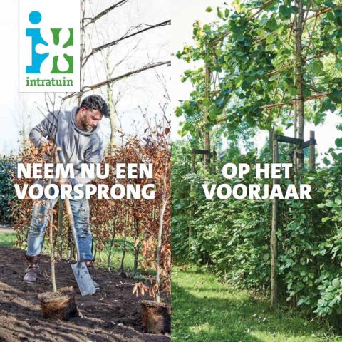 Neem nu een voorsprong op het voorjaar