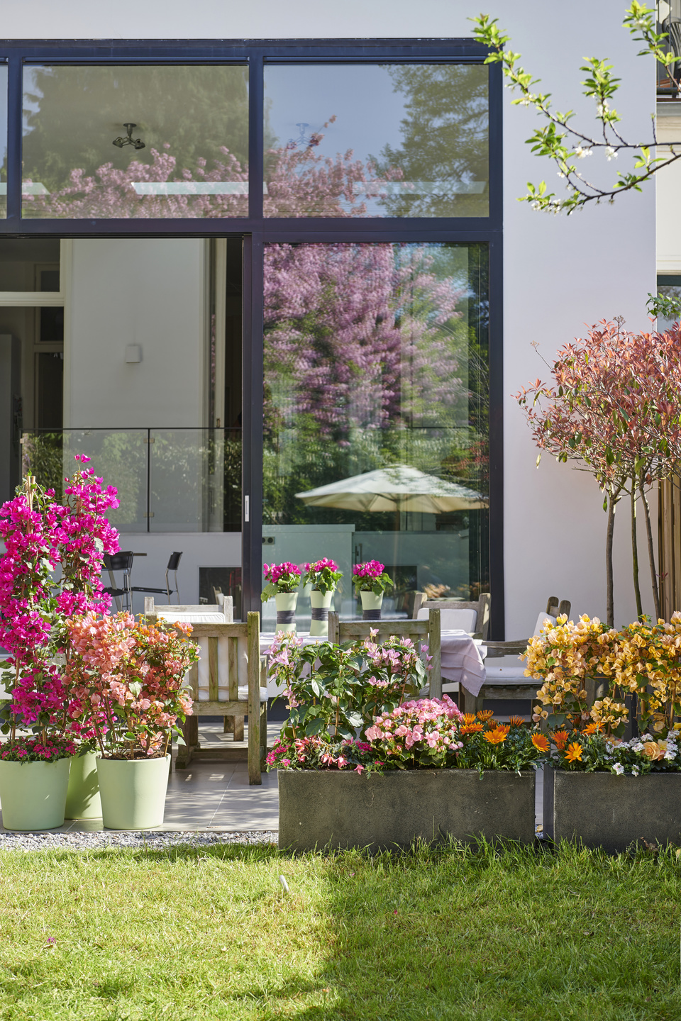 Kleurbrengers: tuinplanten van de maand april